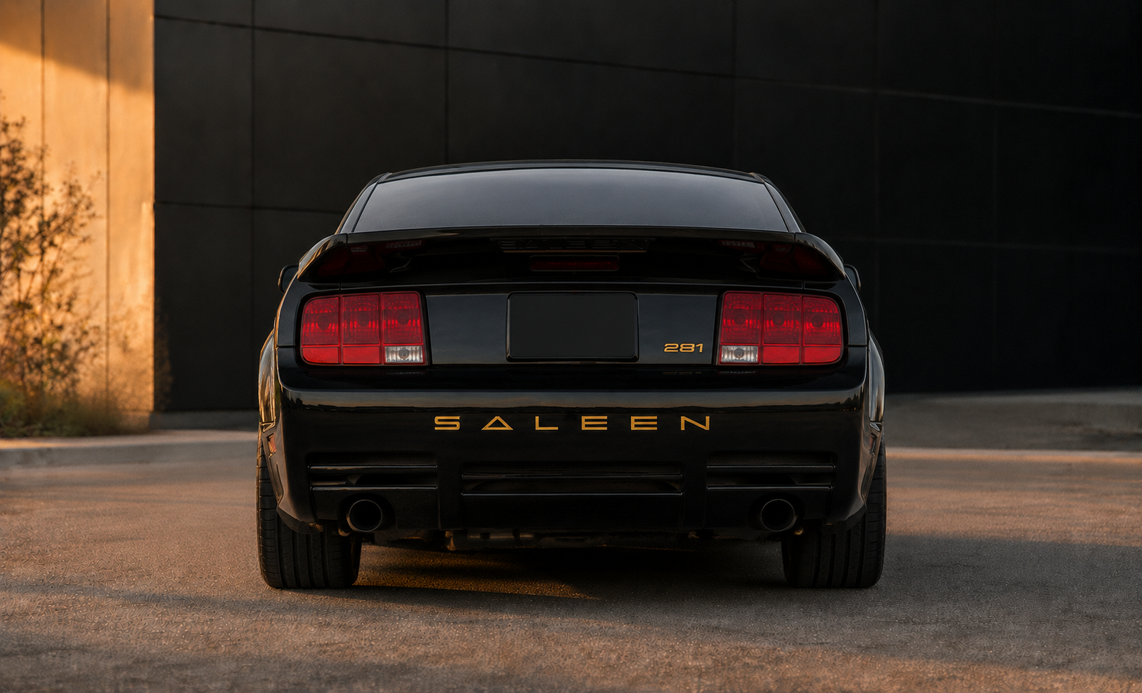 Rear view